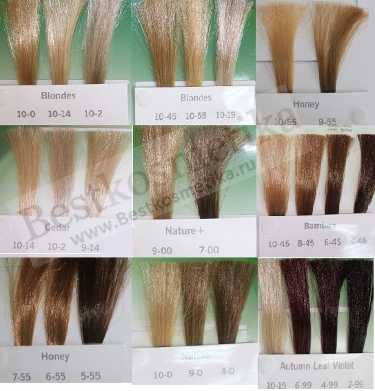 Essensity Hair Colour Chart