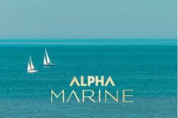 Estel Alpha Marine Косметика Энергия моря для мужчин